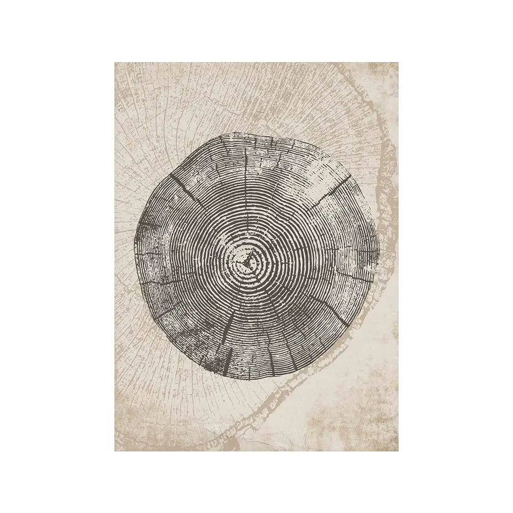 Beige Tree Ring Wall Art - Decorstly