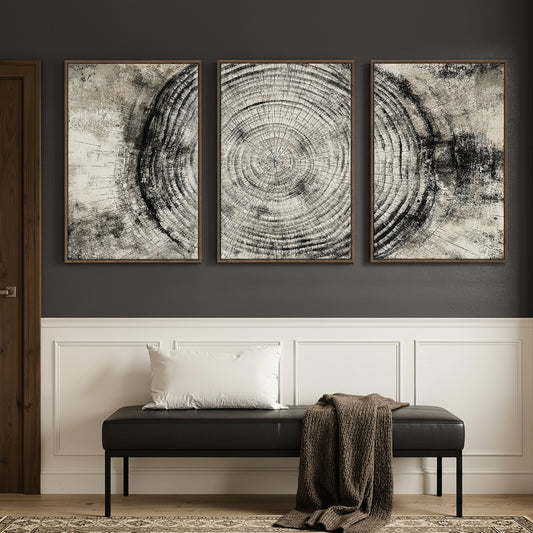 Three framed artworks resembling tree rings on a wall above a wooden bench with a pillow and blanket.