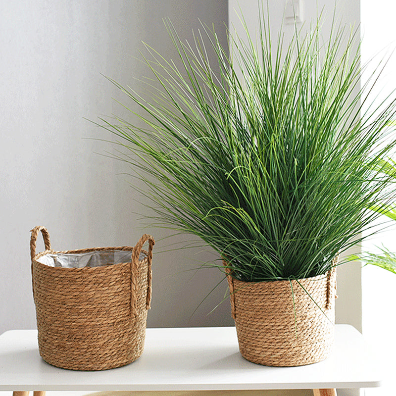 Organic Oasis Plant Pot