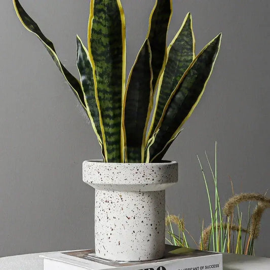 Stylish Speckled Cement Flower Pot - Decorstly