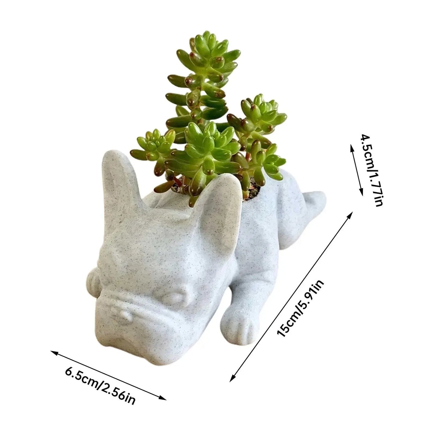 Succulent Bulldog Planter - Decorstly