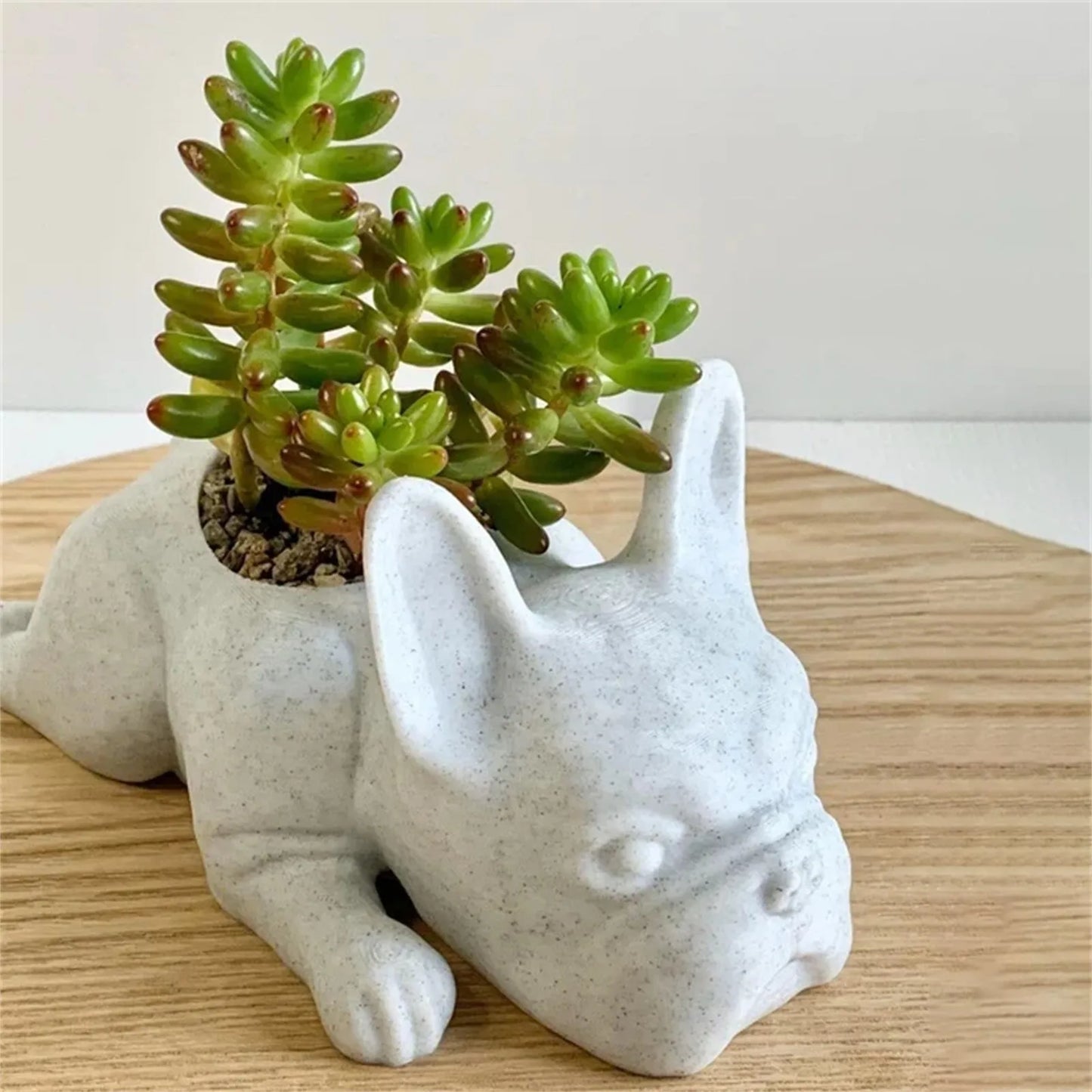 Succulent Bulldog Planter