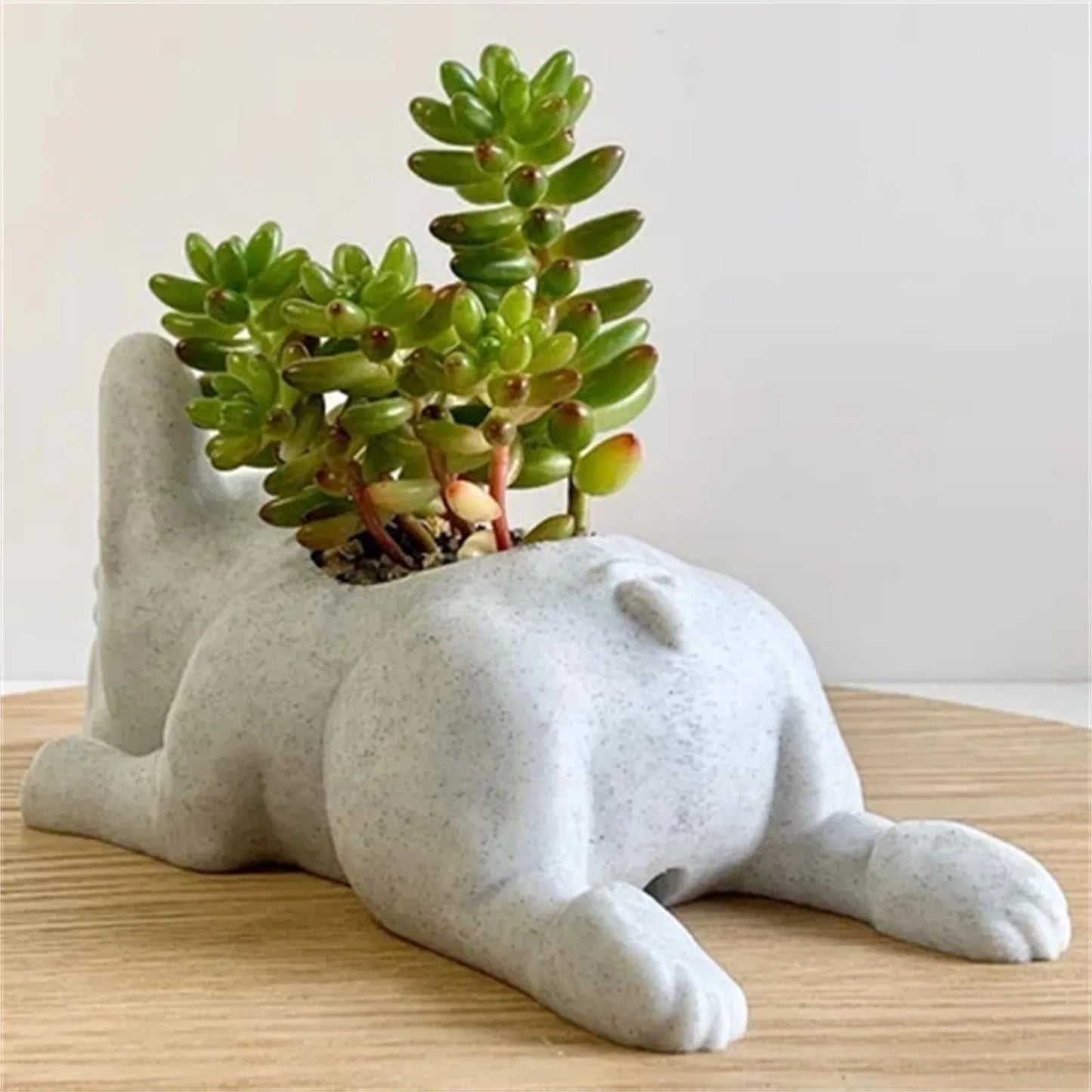 Succulent Bulldog Planter