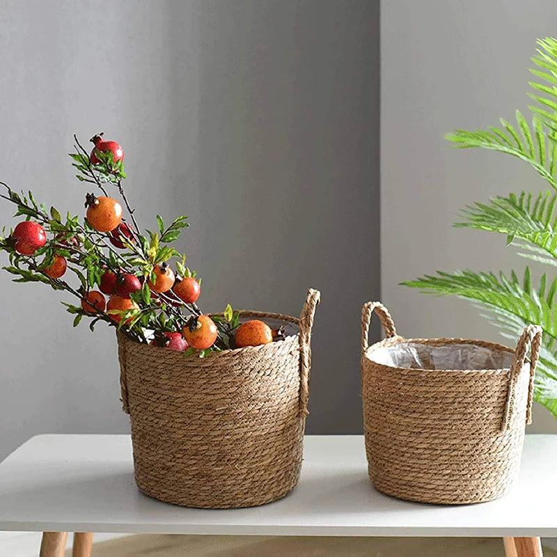 Organic Oasis Plant Pot