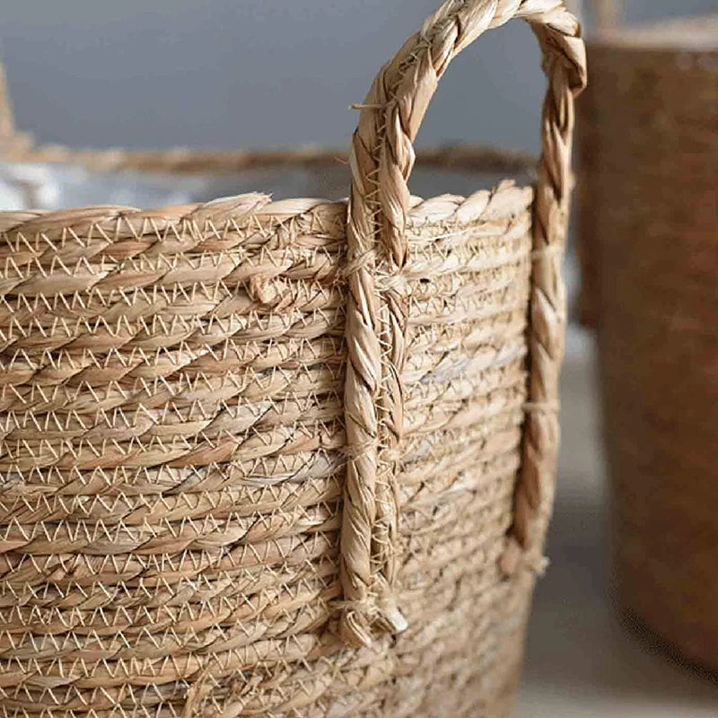 Organic Oasis Plant Pot