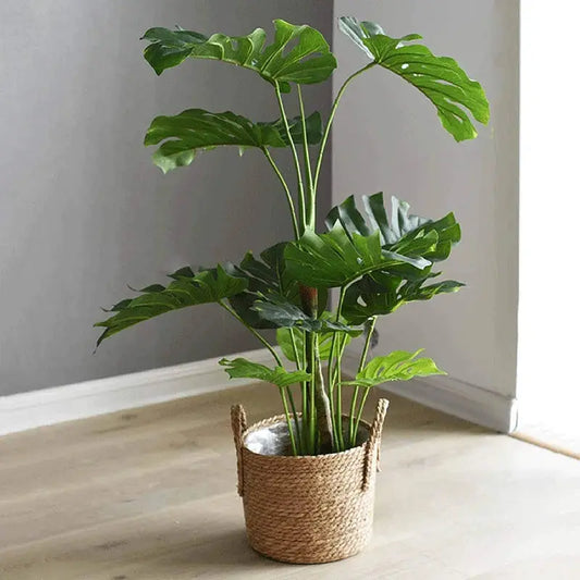 Organic Oasis Plant Pot - Decorstly