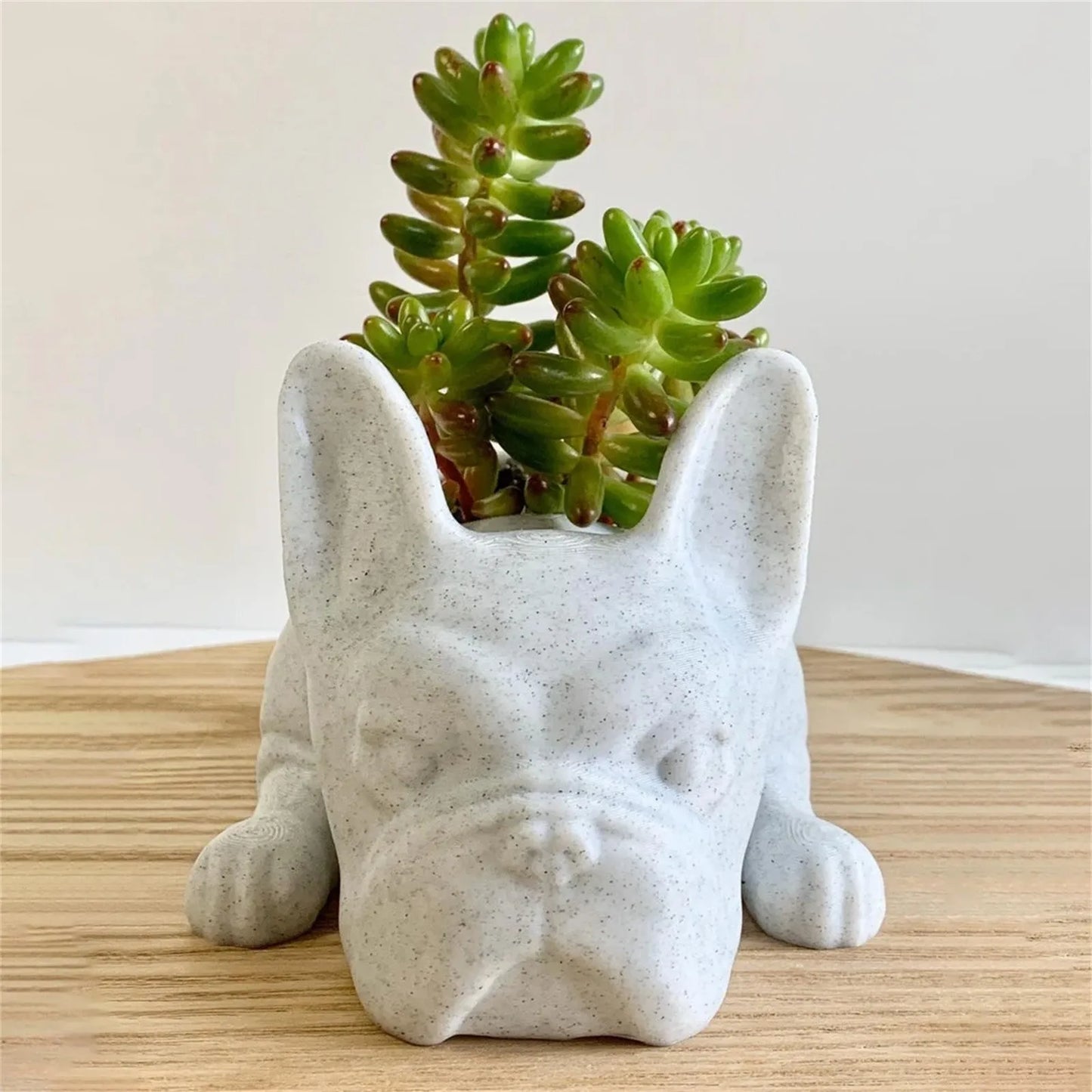 Succulent Bulldog Planter