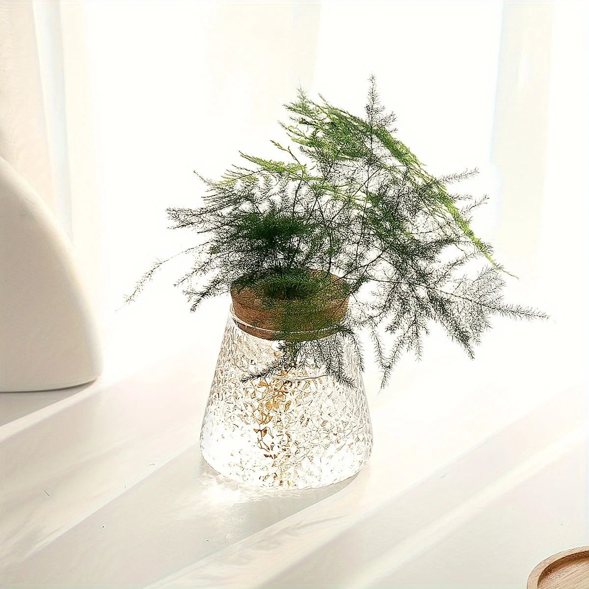 Small Glass Eclipse Vase Decorstly