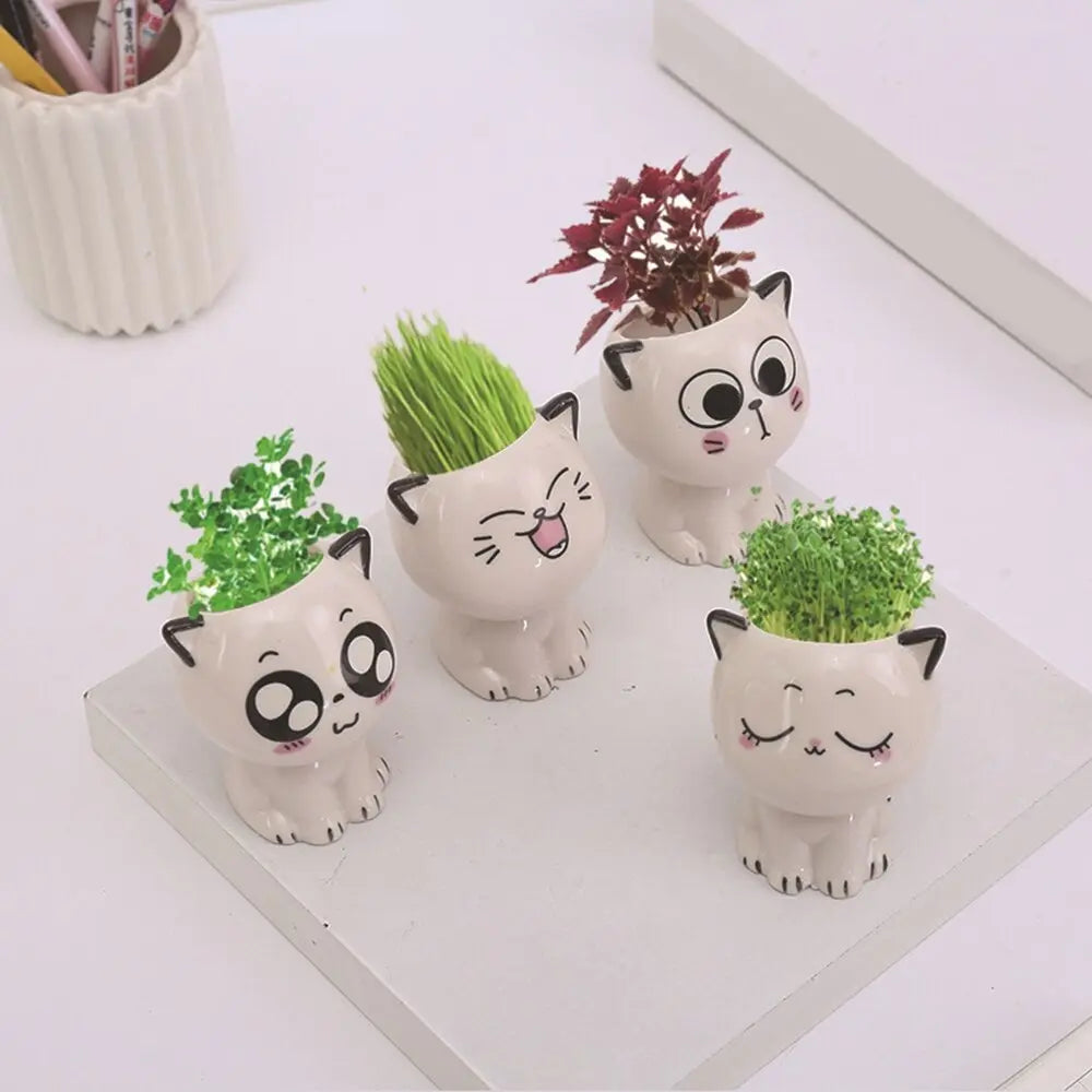 adorable vases