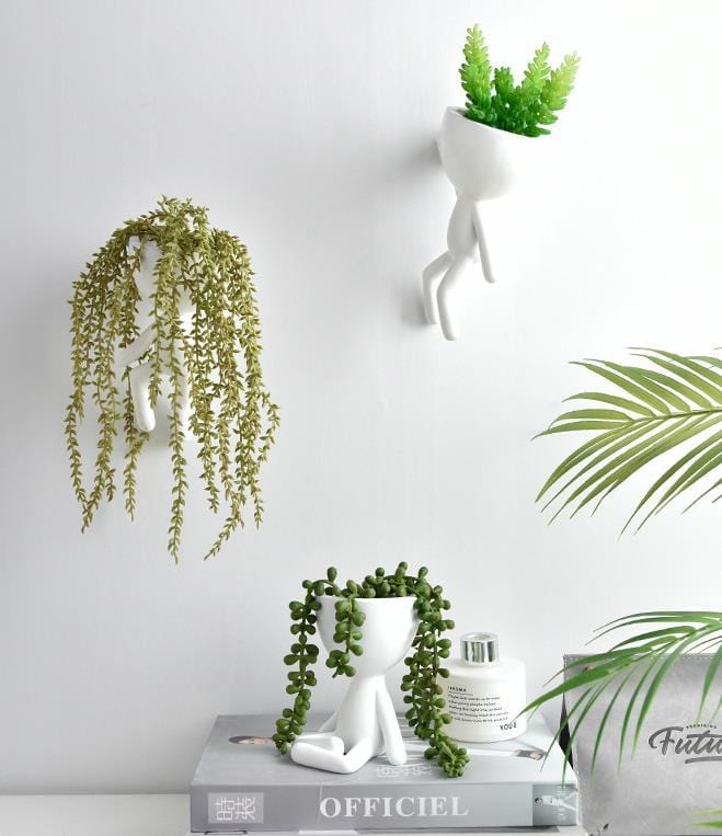 indoor plant pottery