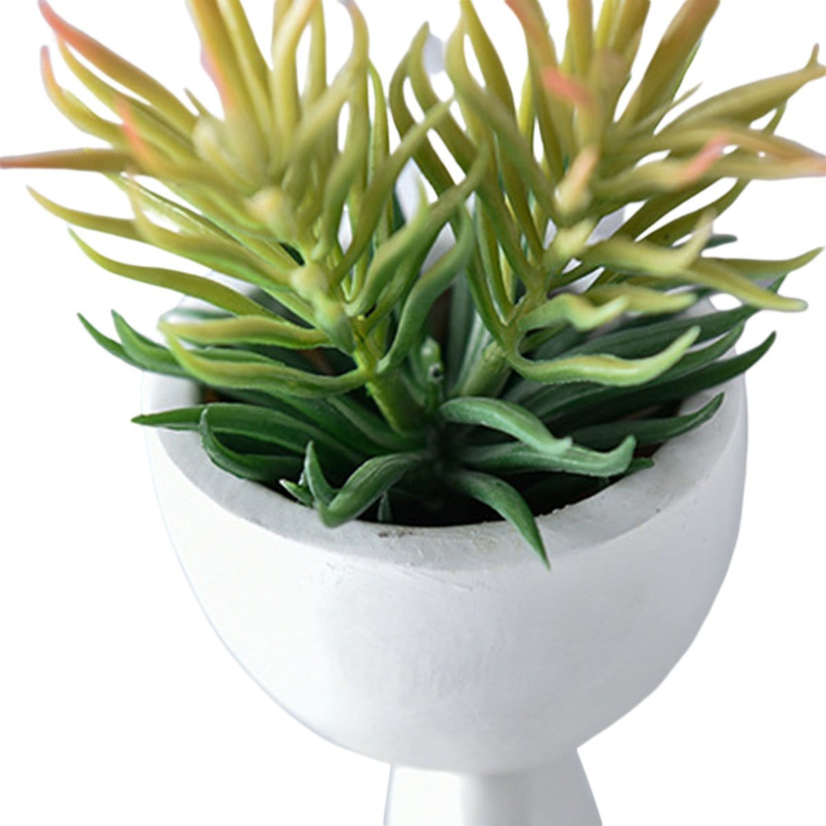 ceramic plant pots