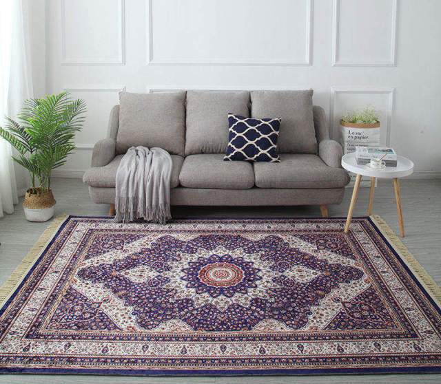 texture rug for sofa