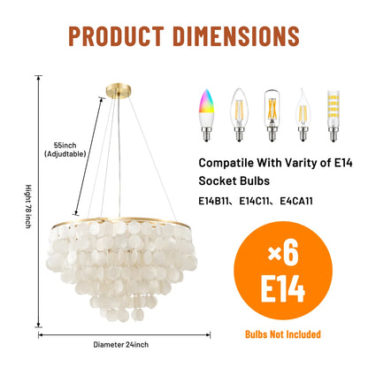 Mediterranean Round Shell Chandelier
