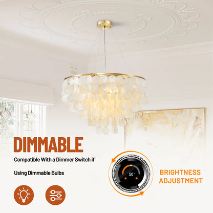 Mediterranean Round Shell Chandelier