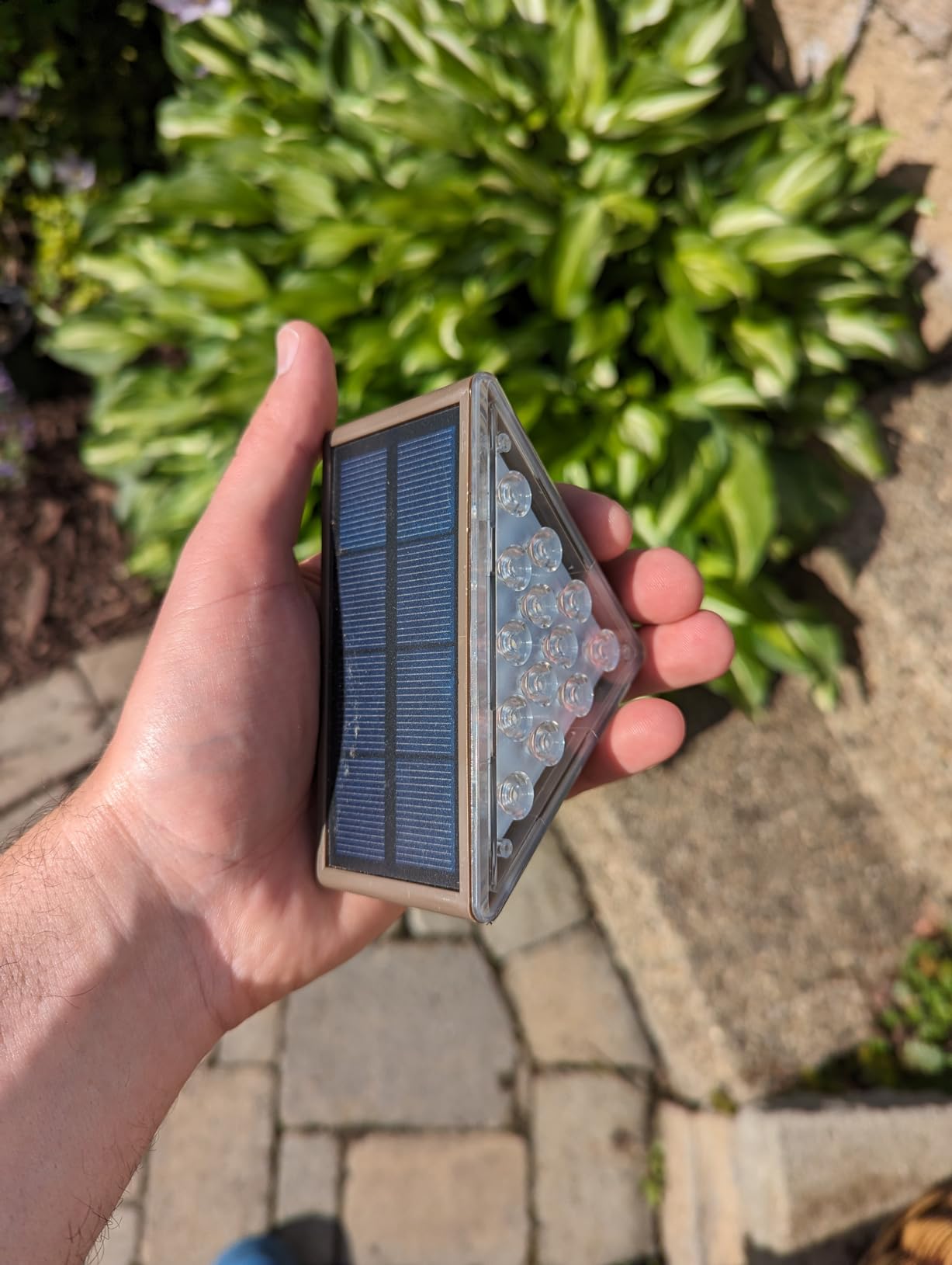 Hand holding a small solar panel device with greenery in the background