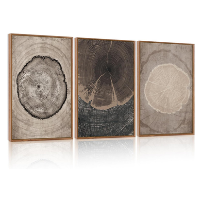 Three framed wood slice wall art prints arranged side by side, showing natural tree growth rings in neutral earth tones on a white background with a soft reflection below.