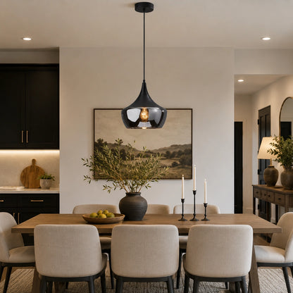 Black Smoked Glass Dome Pendant Light