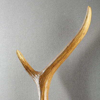 Retro Antlers Wall Sconce