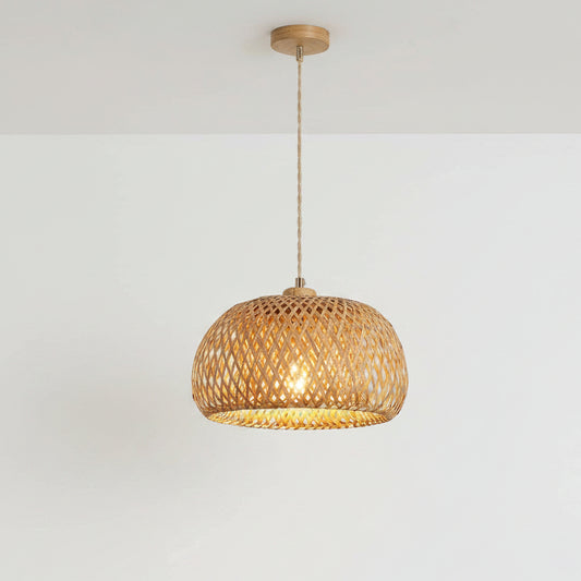 Woven pendant light hanging in a room with a window and plant