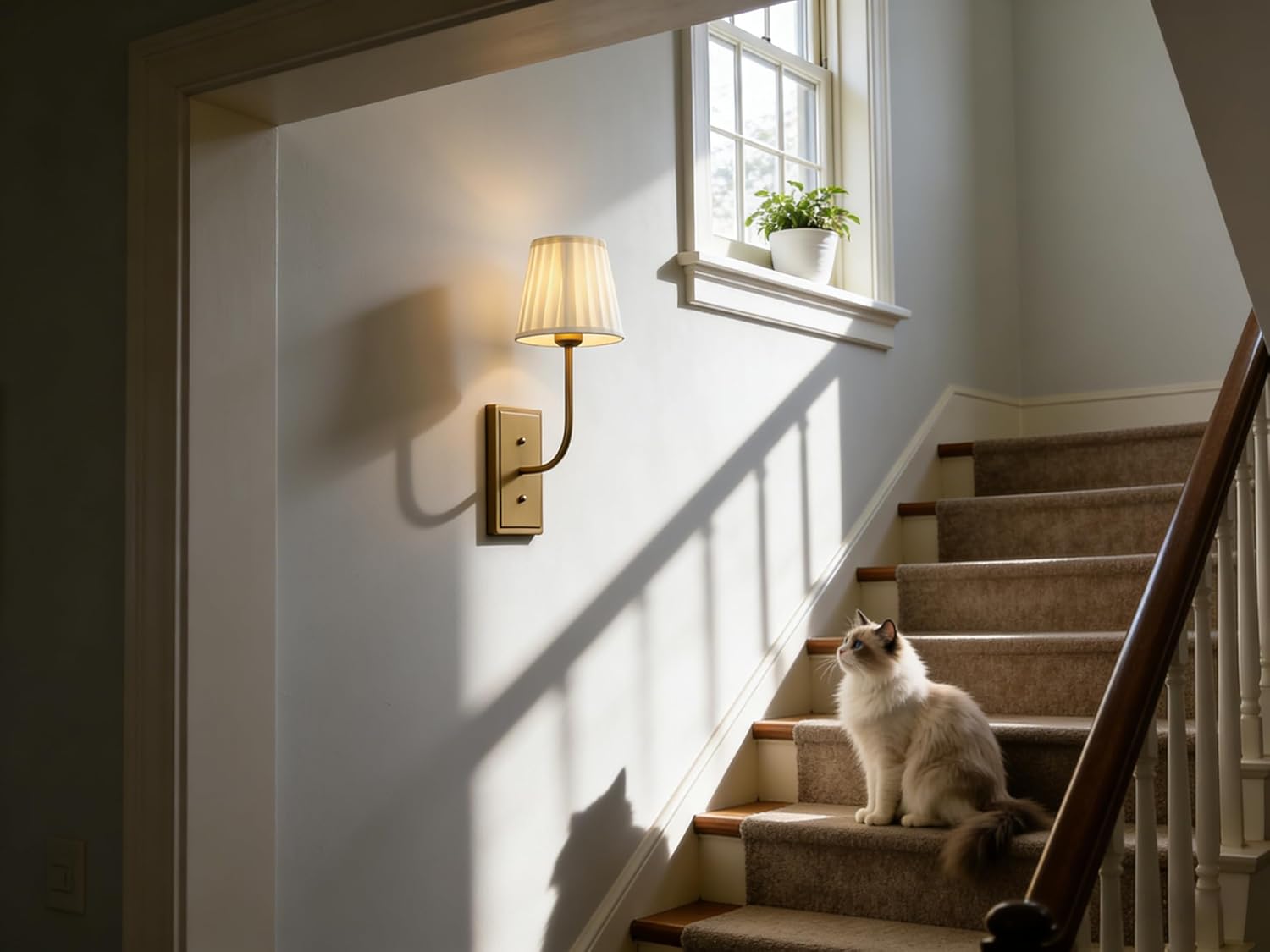 Cat sitting on a staircase in a home with a wall-mounted lamp and window in the background.