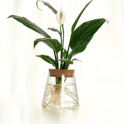 Small Glass Eclipse Vase Decorstly