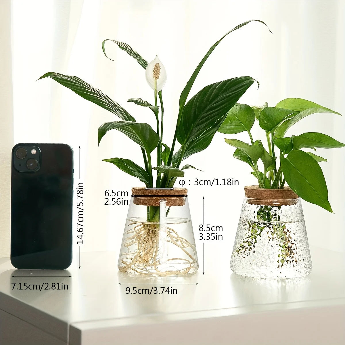 Small Glass Eclipse Vase Decorstly