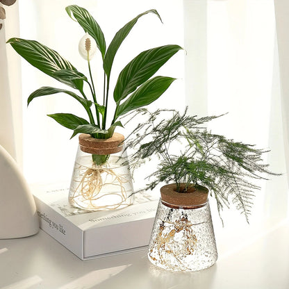 Small Glass Eclipse Vase Decorstly