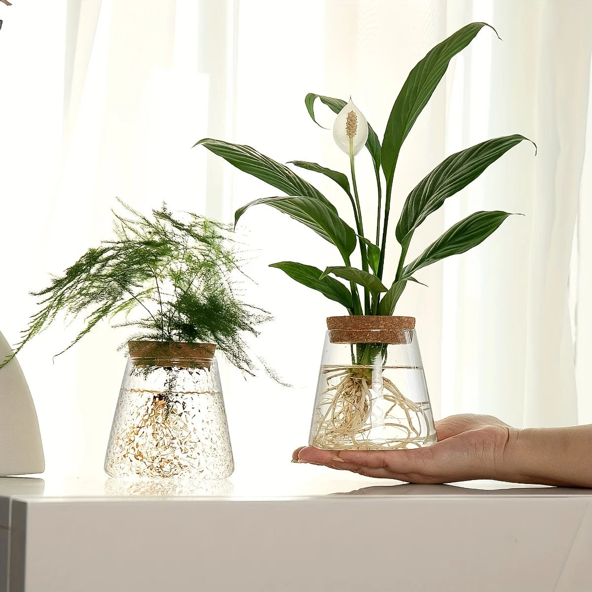 Small Glass Eclipse Vase Decorstly