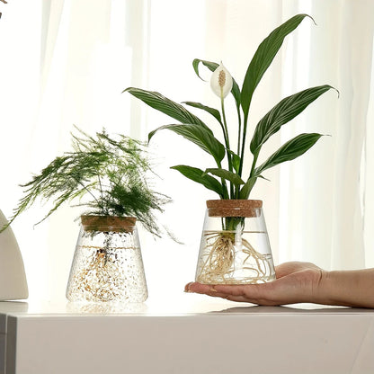 Small Glass Eclipse Vase Decorstly