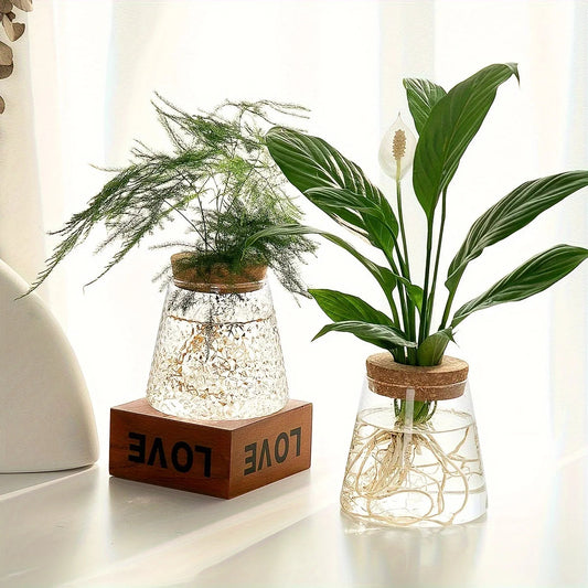 Small Glass hydroponic Plant Vase