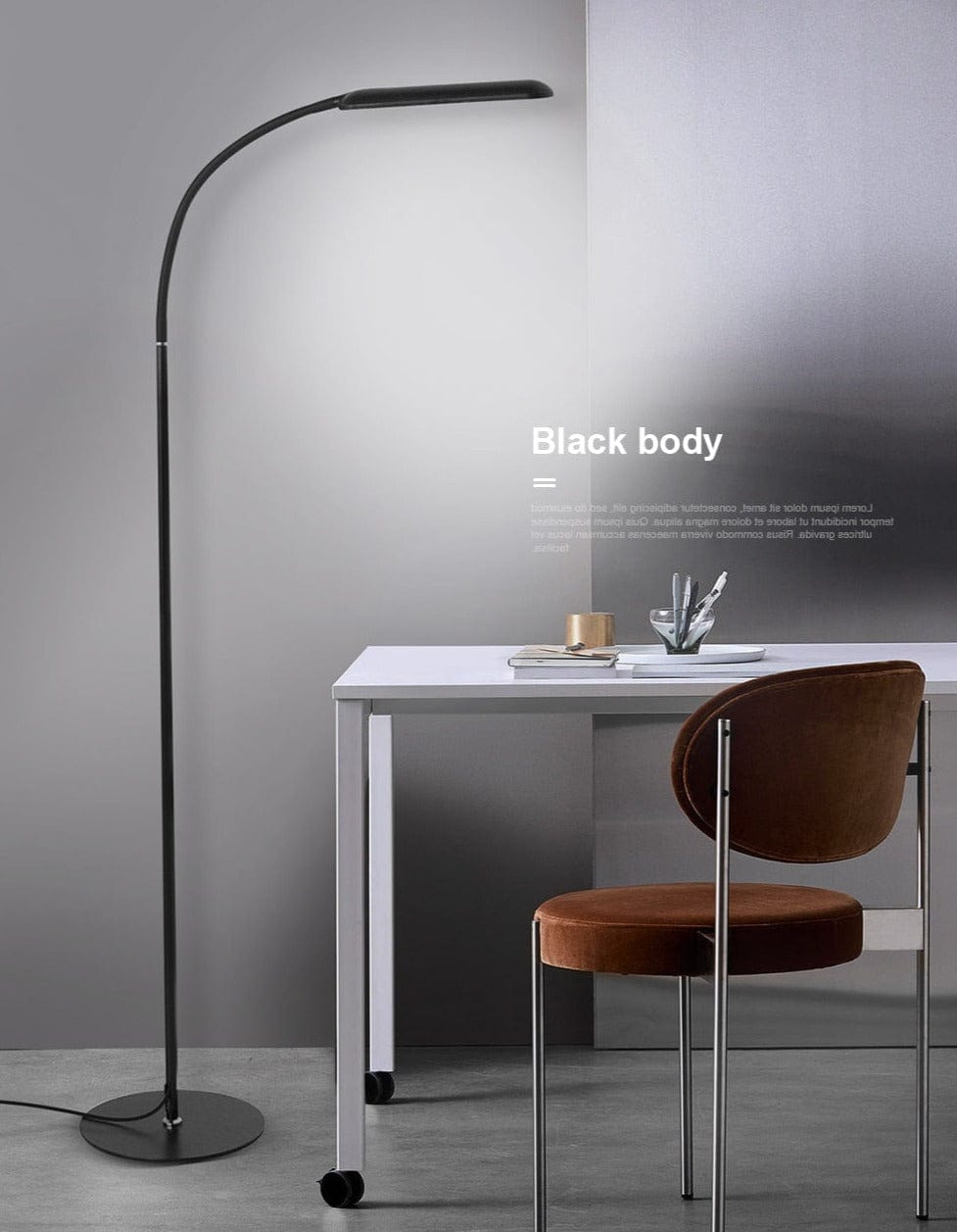 black body Floor Lamp
