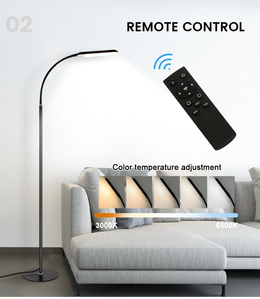 floor Lamp with a remote