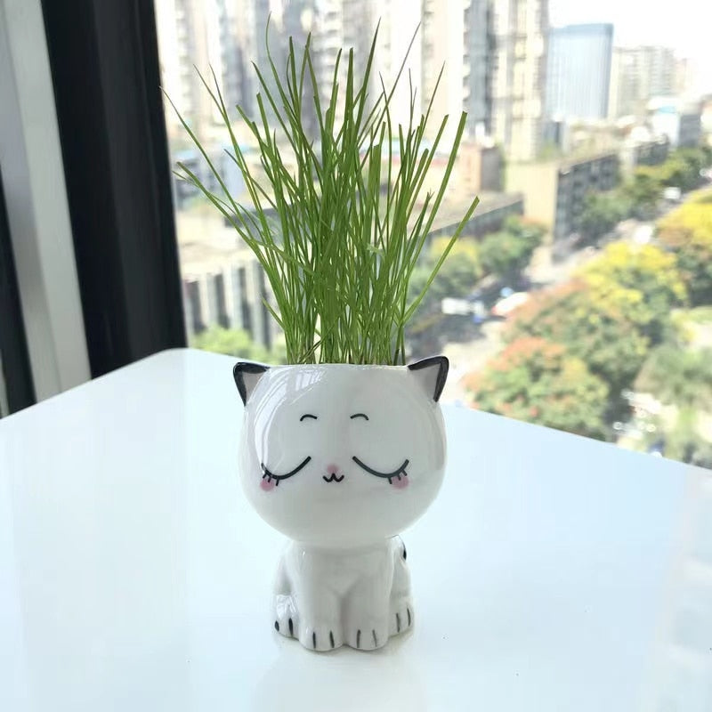 Ceramic Plants Cat Vase