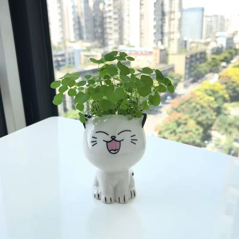 cute funny vase
