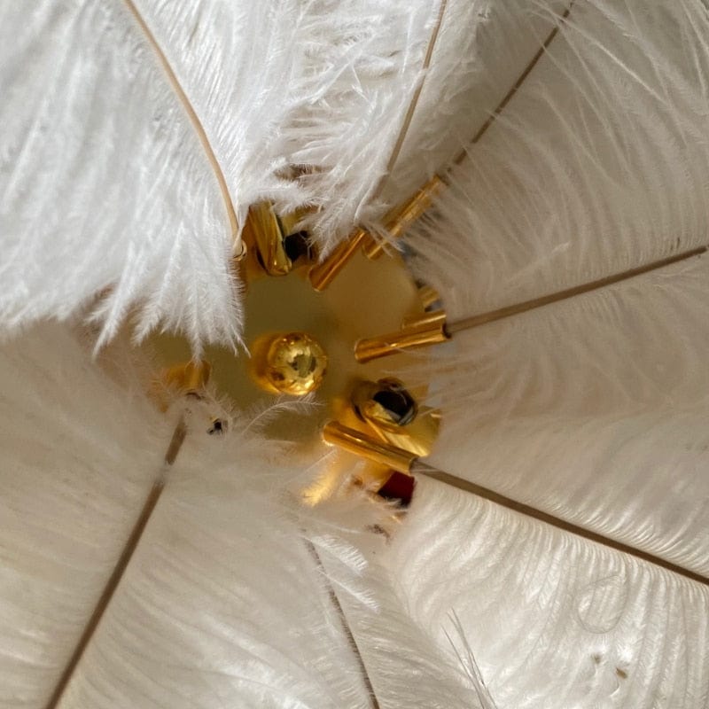 white feathers and gold metal frame